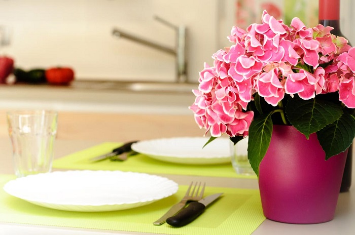 camping avec location de cottage en Vendée