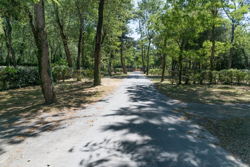 location emplacement tente saint gilles croix de vie