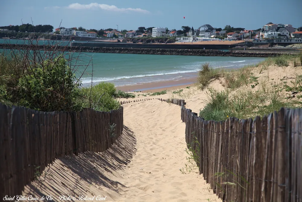 petit chemin menant à la plage en vendée